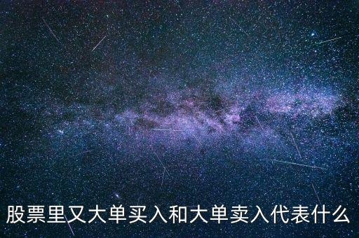 一只股有大單買入代表什么，主動大單買入代表什么