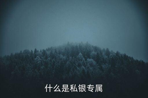 什么是私銀專(zhuān)屬