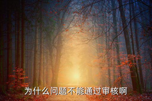 為什么問題不能通過審核啊