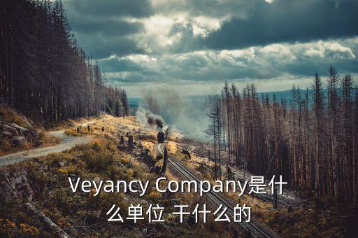 時(shí)代沃頓科技有限公司是什么單位，Veyancy Company是什么單位 干什么的