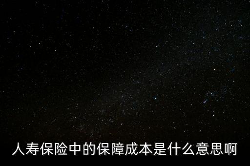 什么是保險(xiǎn)公司的保證成本，保險(xiǎn)中的保障成本是什么意思