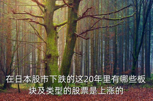 日本股市崩盤能買什么，在日本股市下跌的這20年里有哪些板塊及類型的股票是上漲的