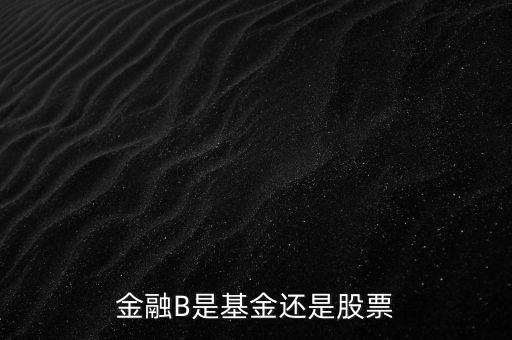銀行b端是什么股票，金融B是基金還是股票