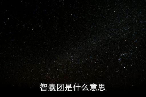 中國四大智囊團指的是什么，四大智囊哪個最厲害