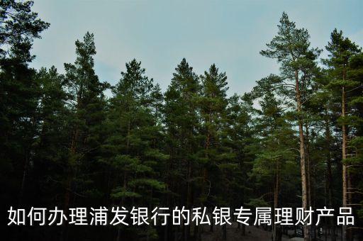 如何辦理浦發(fā)銀行的私銀專(zhuān)屬理財(cái)產(chǎn)品
