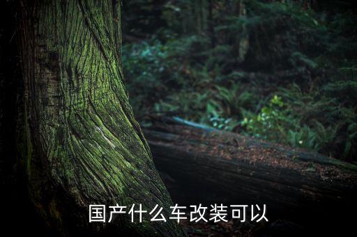 國(guó)產(chǎn)什么車改裝可以