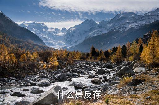 銀行匯款什么叫反存，反納在銀行是甚么意思