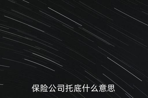 保險公司托底什么意思
