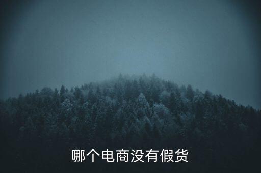 哪個電商沒有假貨
