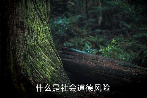 什么是社會風(fēng)險，什么是社會道德風(fēng)險