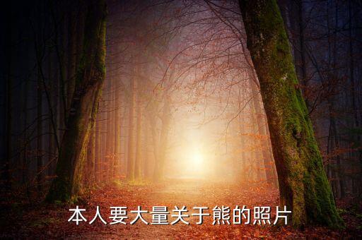 本人要大量關于熊的照片