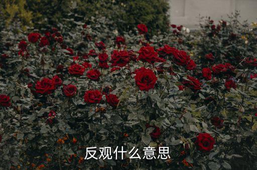 反觀當下是什么意思，求英語大神翻譯反觀當下
