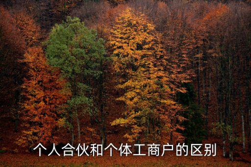 個人合伙領(lǐng)取什么經(jīng)營執(zhí)照，個人合伙辦理個體工商戶執(zhí)照