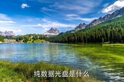 純數(shù)據(jù)光盤是什么