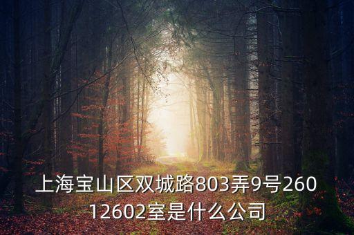 上海柏智方德是什么公司，上海寶山區(qū)雙城路803弄9號(hào)26012602室是什么公司