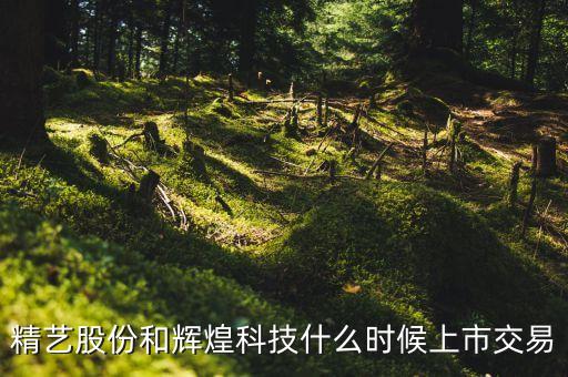 輝煌科技什么時(shí)候高轉(zhuǎn)送，方正科技的輝煌歷史是什么時(shí)候