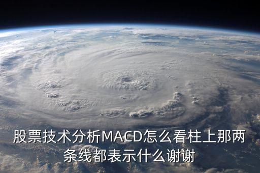 股票技術(shù)分析MACD怎么看柱上那兩條線都表示什么謝謝