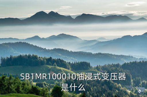 油浸式變壓器什么是酚推，SB1MR100010油浸式變壓器是什么