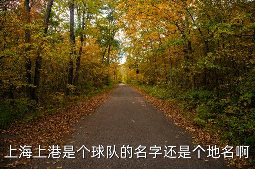 上海上港是個(gè)球隊(duì)的名字還是個(gè)地名啊