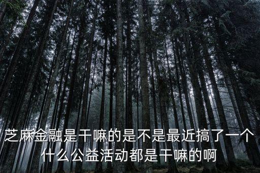 芝麻金融是干嘛的是不是最近搞了一個什么公益活動都是干嘛的啊