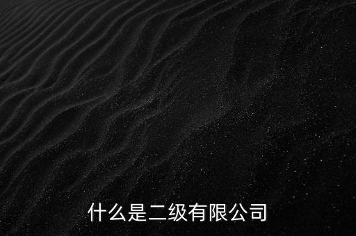 什么是二級有限公司