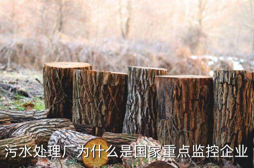 重點監(jiān)控企業(yè)為什么，稅務(wù)局來電要我們公處理重點監(jiān)控是什么意思