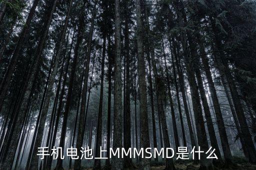 什么是電力儲能，手機(jī)電池上MMMSMD是什么