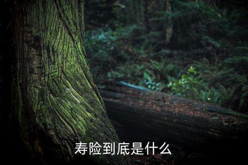 壽險到底是什么