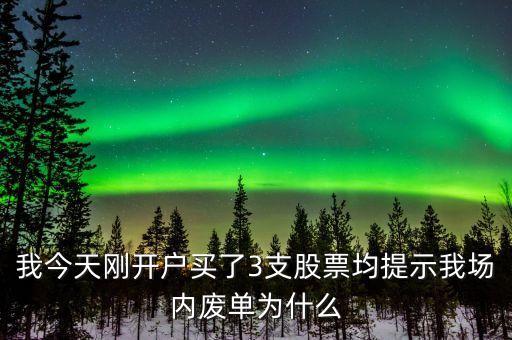 我今天剛開戶買了3支股票均提示我場內(nèi)廢單為什么