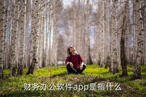 財(cái)務(wù)辦公軟件app是指什么