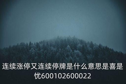 600139連續(xù)停牌是什么意思，股票連續(xù)停牌是什么意思