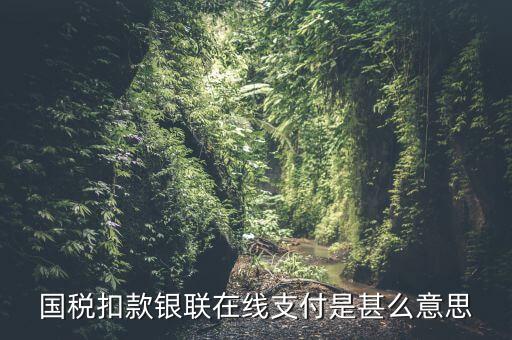 銀聯(lián)劃扣跟連連支付有什么區(qū)別，國稅扣款銀聯(lián)在線支付是甚么意思