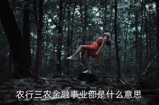 農(nóng)行三農(nóng)金融事業(yè)部是什么意思