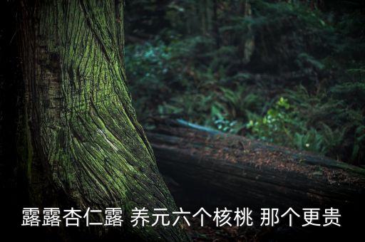 露露杏仁露 養(yǎng)元六個核桃 那個更貴