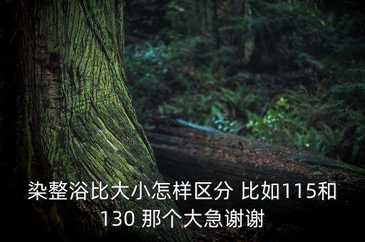 染整浴比大小怎樣區(qū)分 比如115和130 那個(gè)大急謝謝