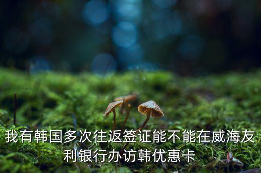 訪韓優(yōu)惠卡有什么作用，我有韓國(guó)多次往返簽證能不能在威海友利銀行辦訪韓優(yōu)惠卡