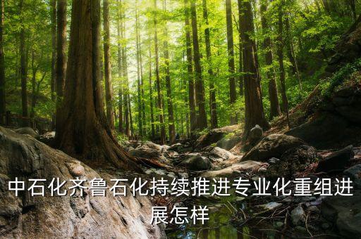 專業(yè)化重組是什么，股票中的重組是什么意思意味者什么對于持股人來說是好是壞