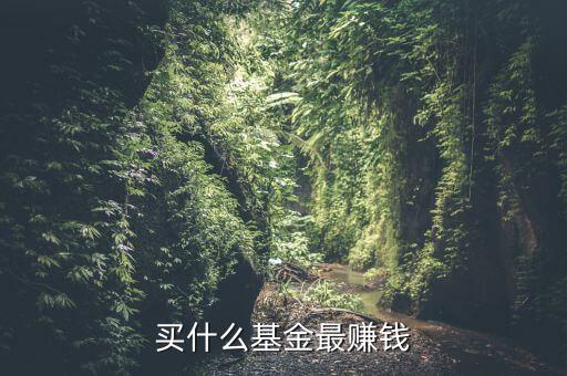 買什么基金賺錢，買什么樣的基金能賺錢