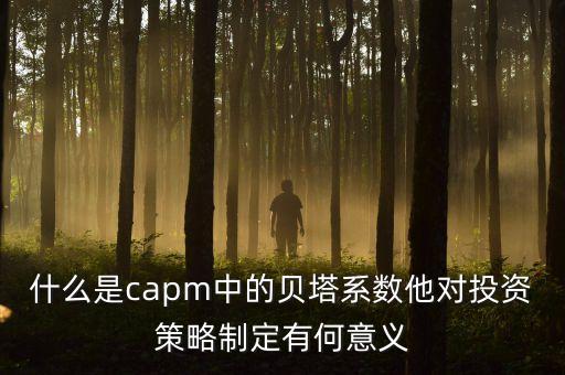 什么是capm中的貝塔系數(shù)他對(duì)投資策略制定有何意義