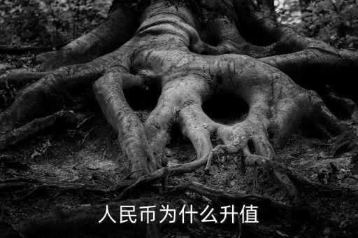 為什么人民幣要升值，人民幣為什么升值