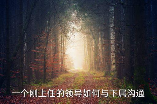 新任董事長應該做什么，董事會換屆選舉怎么做