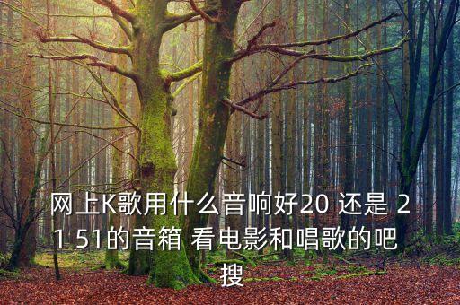 網(wǎng)上K歌用什么音響好20 還是 21 51的音箱 看電影和唱歌的吧  搜