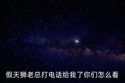 假天獅老總都做什么，深圳文斌及天獅是怎么樣的公司到底干嘛的