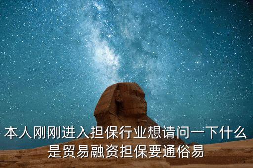 本人剛剛進入擔(dān)保行業(yè)想請問一下什么是貿(mào)易融資擔(dān)保要通俗易
