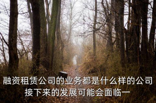 太平石化金融租賃公司是做什么的，有誰(shuí)知道融資租賃公司主要是做什么的嗎