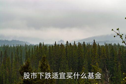 股市下跌適宜買什么基金
