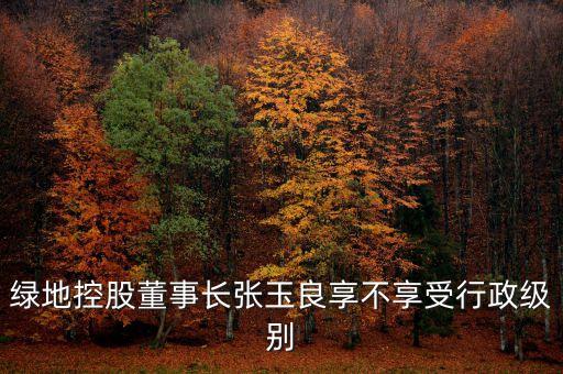 綠地控股董事長張玉良享不享受行政級別