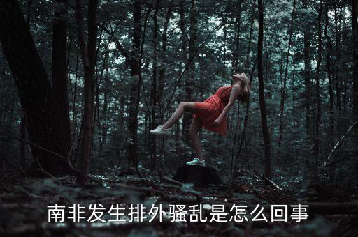南非發(fā)生排外騷亂是怎么回事