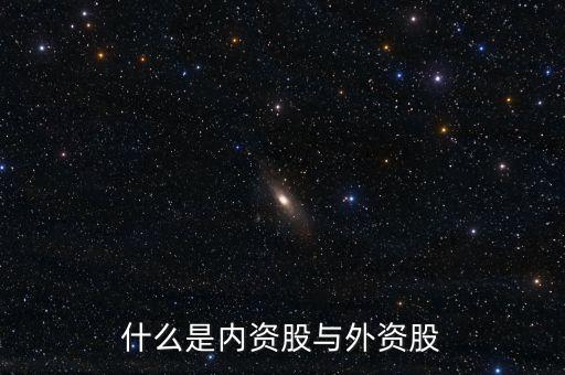 什么是內(nèi)資股與外資股