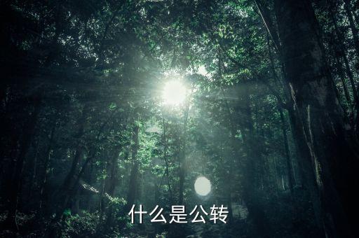 公轉(zhuǎn)書是什么，什么是公轉(zhuǎn)